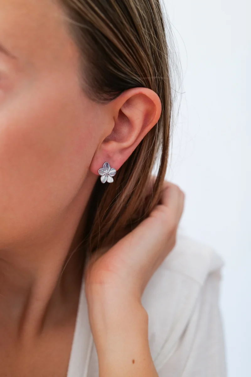Boucles d’oreilles PASCALINE acier