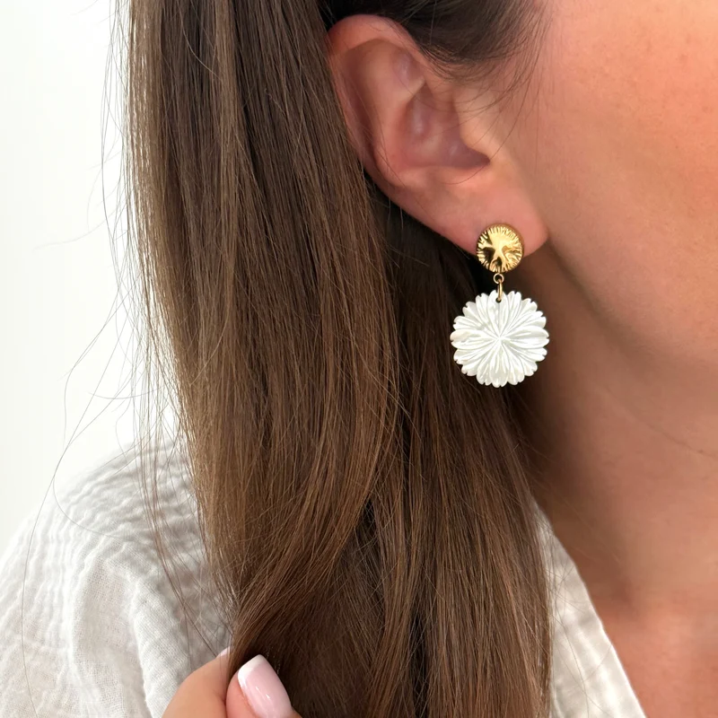 Boucles d'oreilles "Meylin" acier
