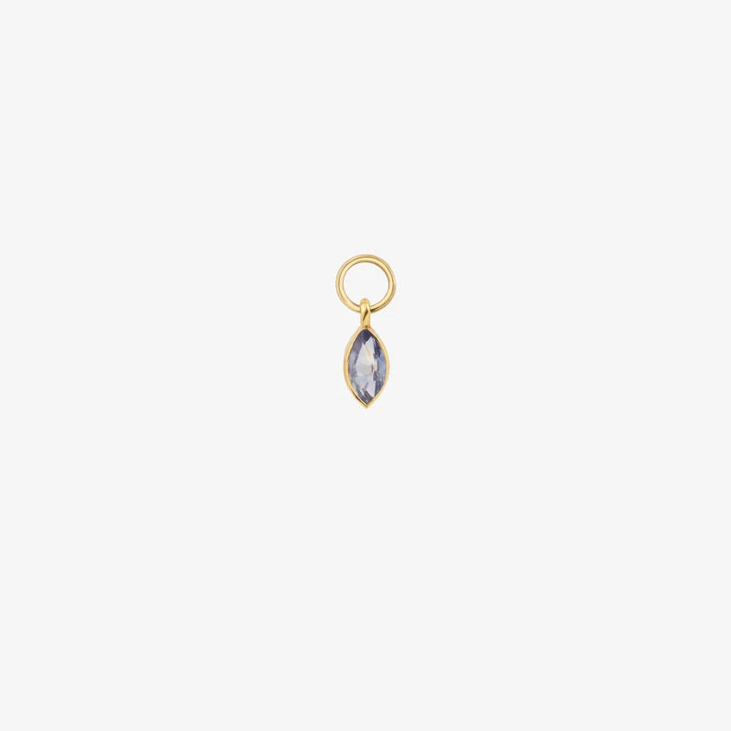 Earring Charm 1