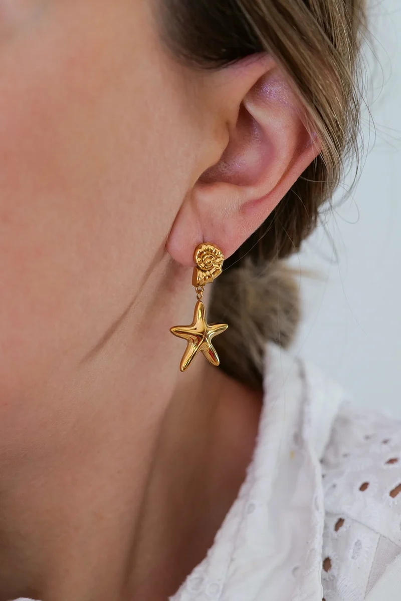 Boucles d’oreilles ROZELLA acier
