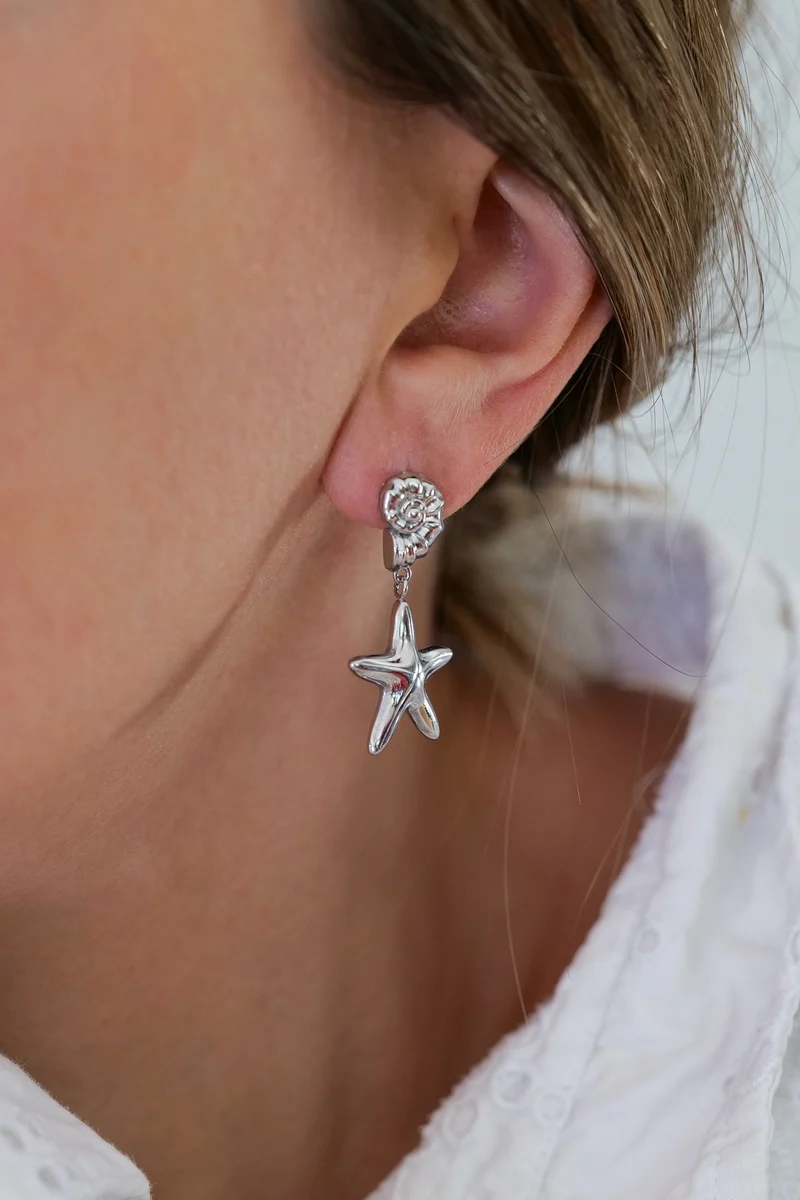 Boucles d’oreilles ROZELLA acier