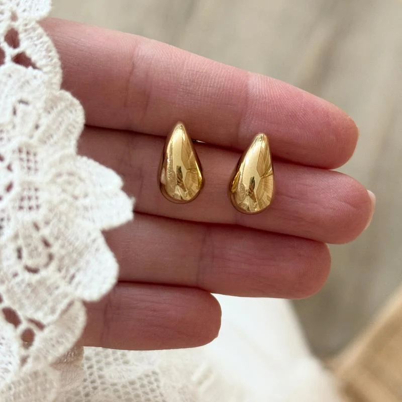 Boucles d'oreilles "Micro Gaia" acier