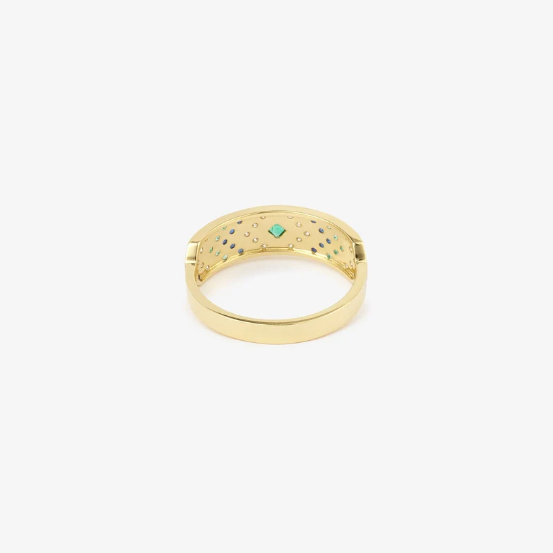 Ani Ring 3–Hydra
