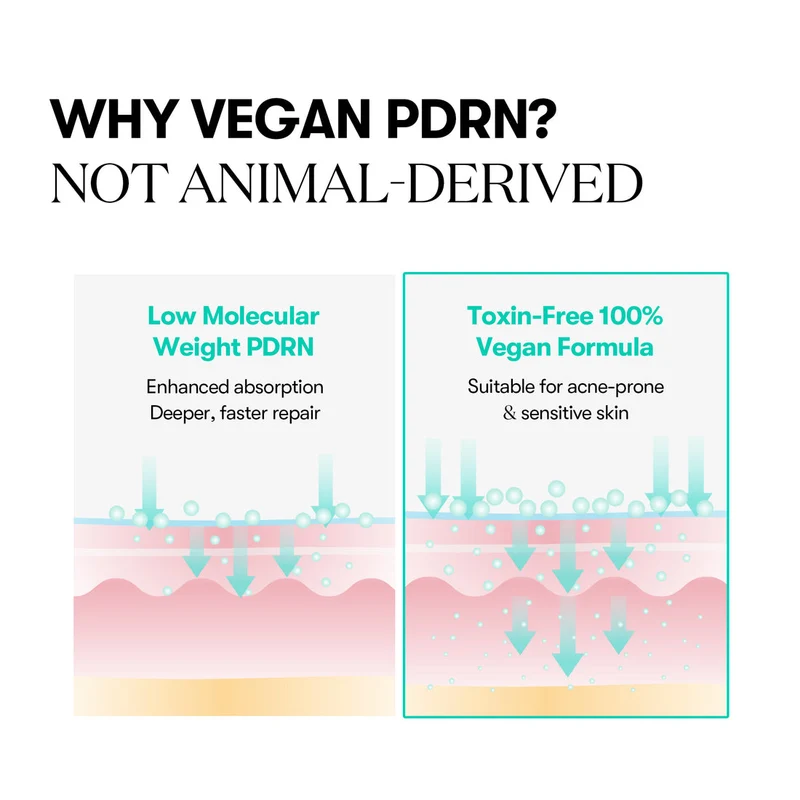 PDRN Capsule Cream 100 50ML - Crème au PDRN