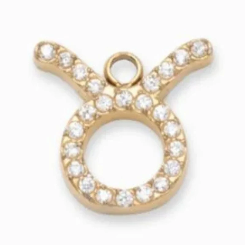 Charms "Signes astrologiques" acier