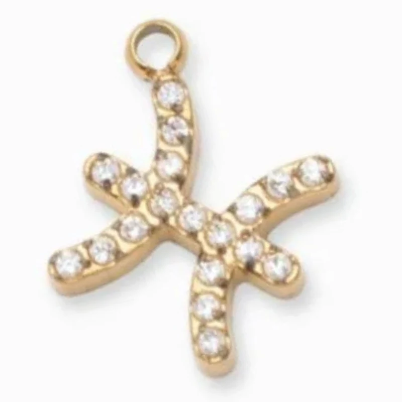 Charms "Signes astrologiques" acier