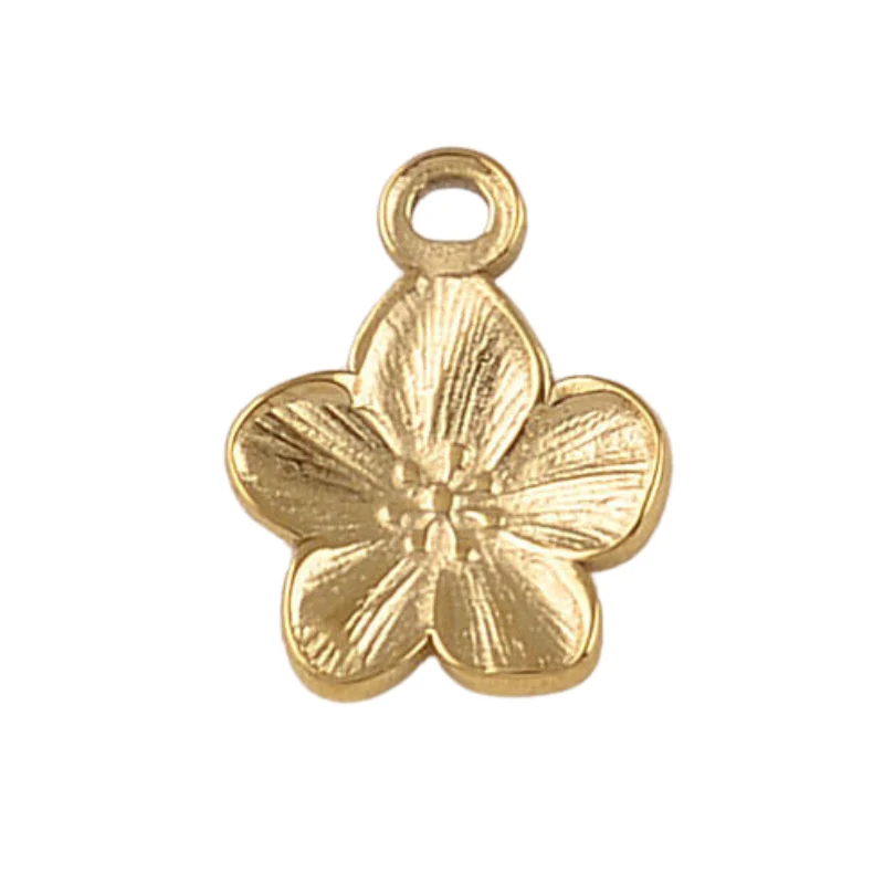 Charms divers acier