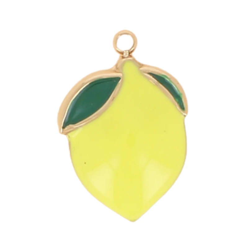 Charms divers acier