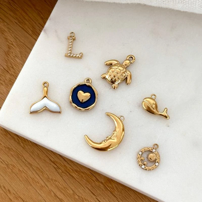 Collier charms personnalisable acier
