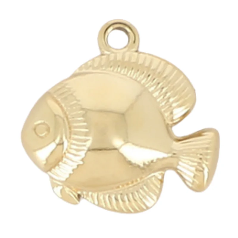 Charms acier