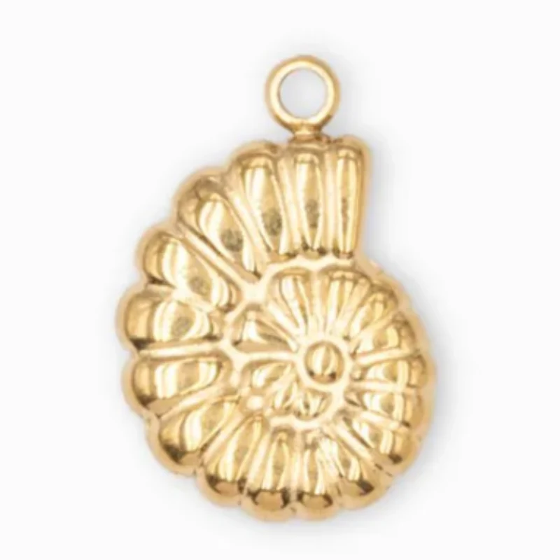 Charms acier