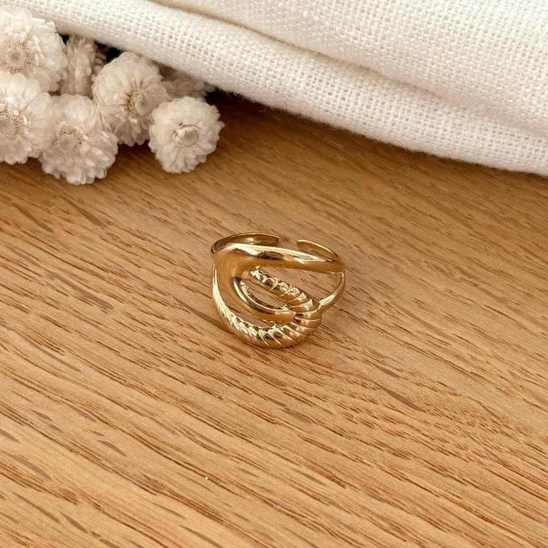 Bague "Kaa" acier
