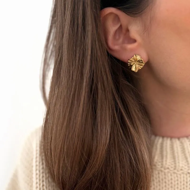 Boucles d'oreilles "Rosalia" acier