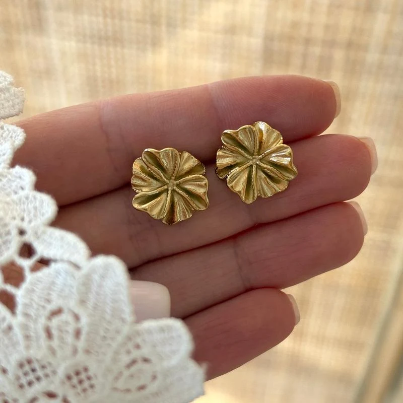 Boucles d'oreilles "Rosalia" acier