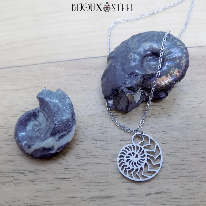 Collier à pendentif ammonite en acier inoxydable