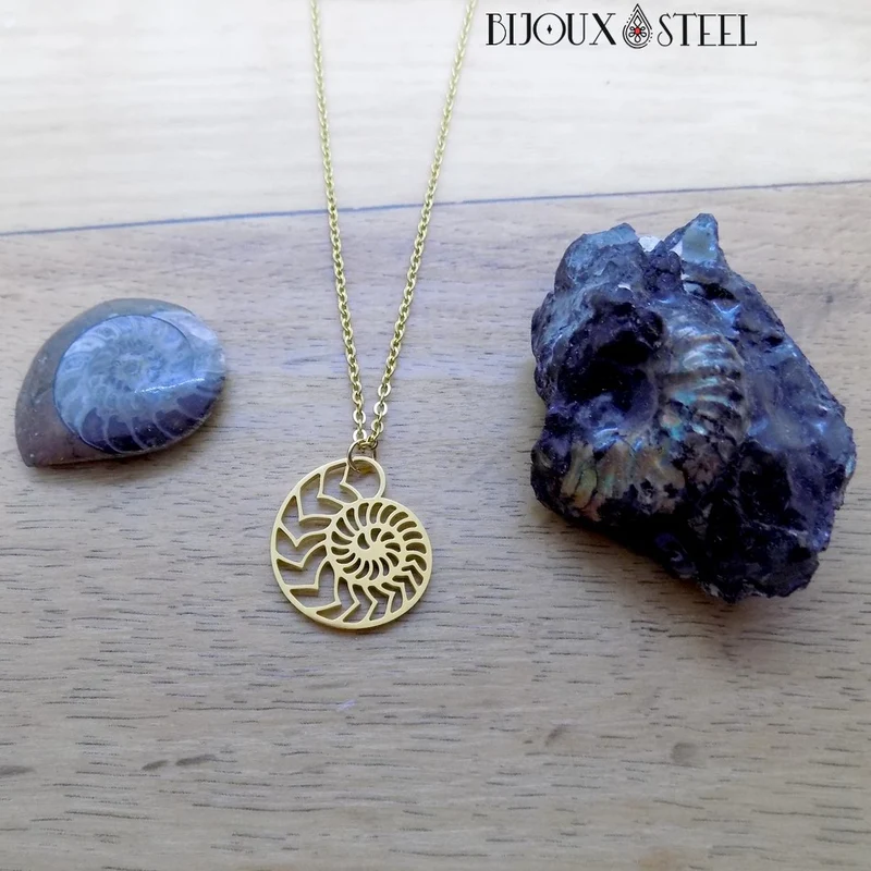 Collier à pendentif ammonite en acier inoxydable