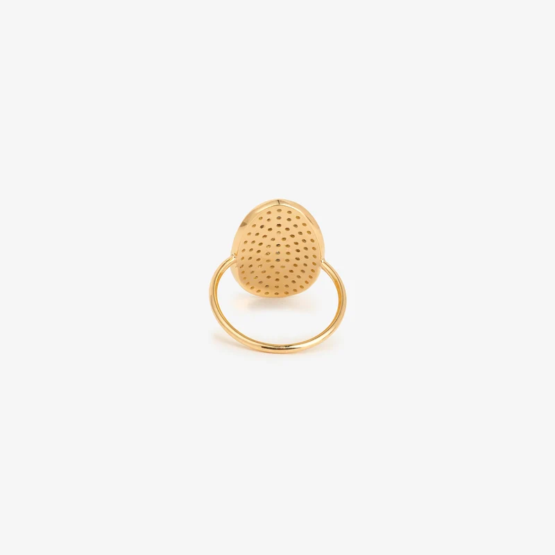 Ani Ring 1–Moon