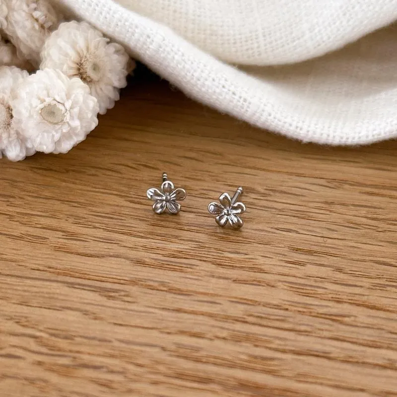 Boucles d'oreilles "Flona" argent