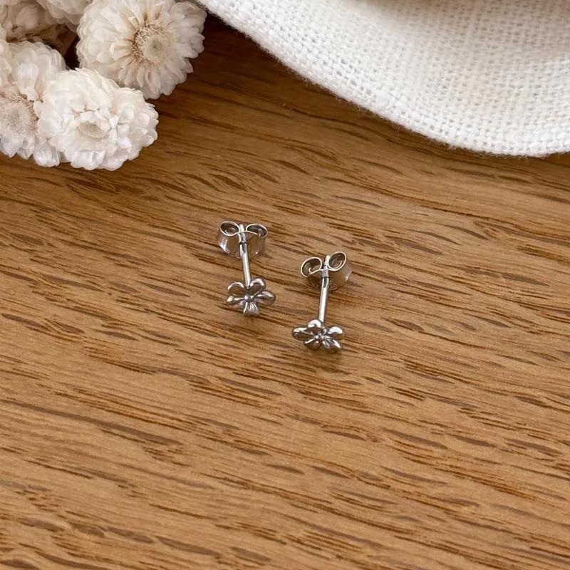 Boucles d'oreilles "Flona" argent