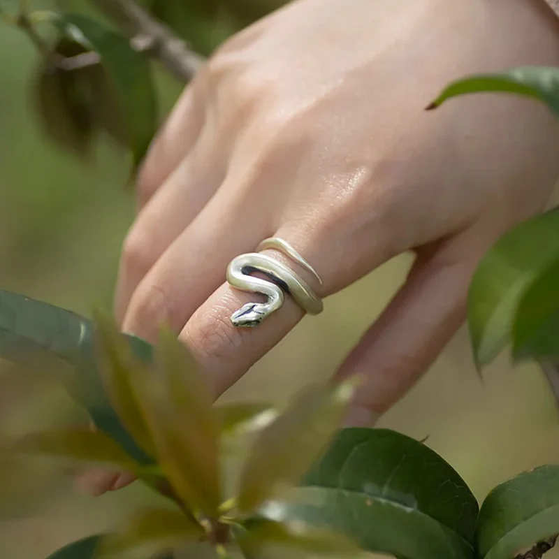 Bague Serpent Acier