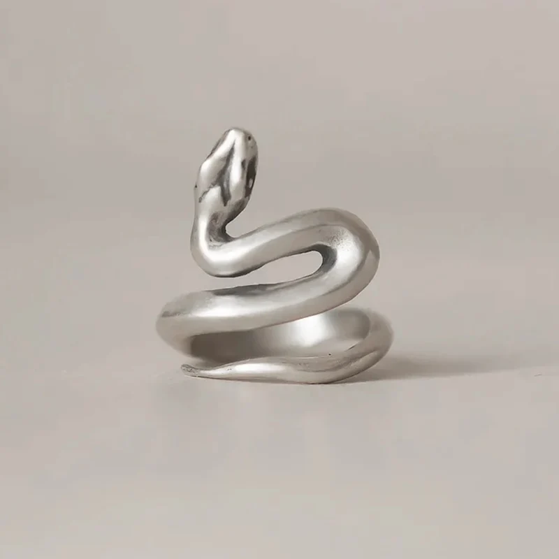Bague Serpent Acier