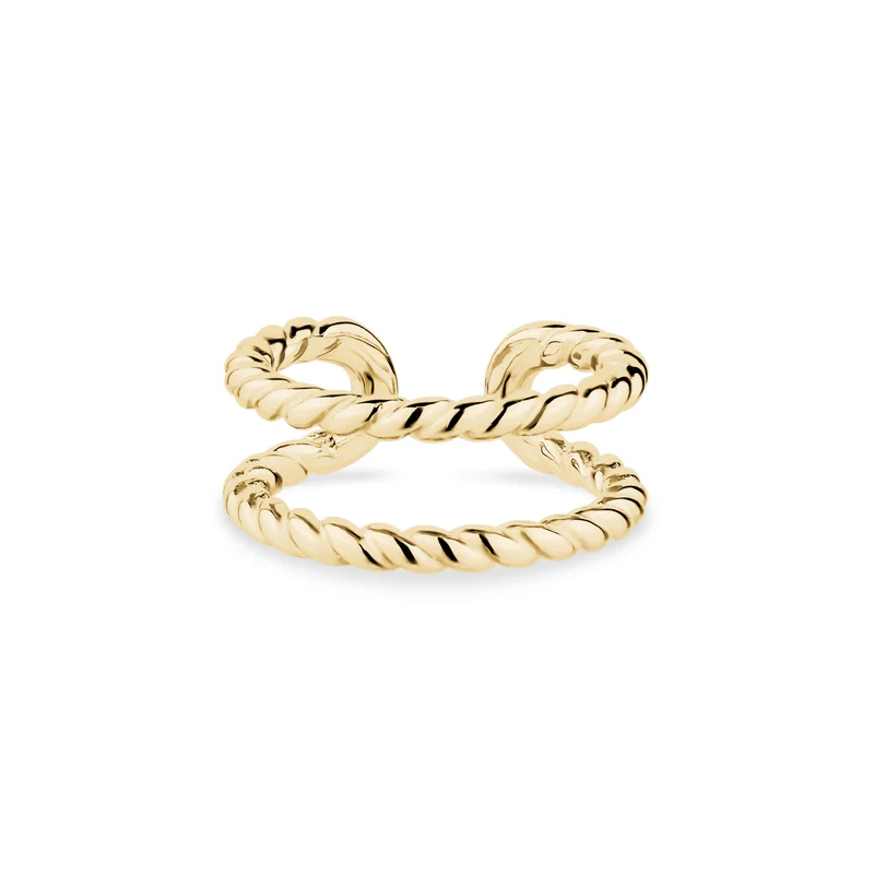 Boucle d'oreille torsadée