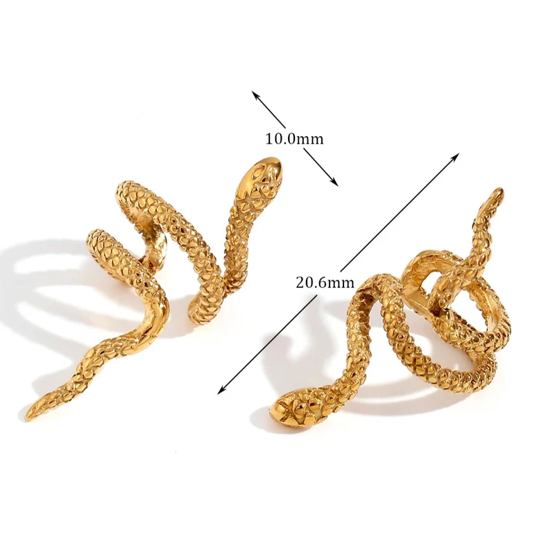 Boucles d'Oreilles Serpent Sans Trou