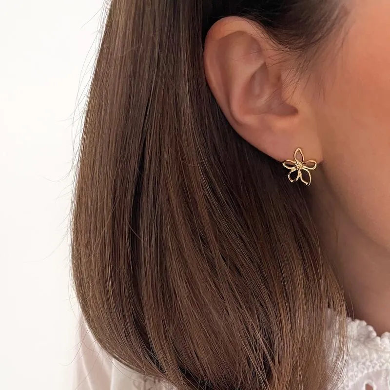 Boucles d'oreilles "Eline" acier