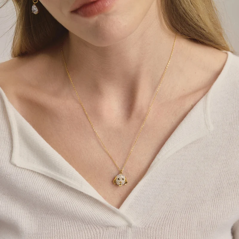 Collier Tête de Chien Strass