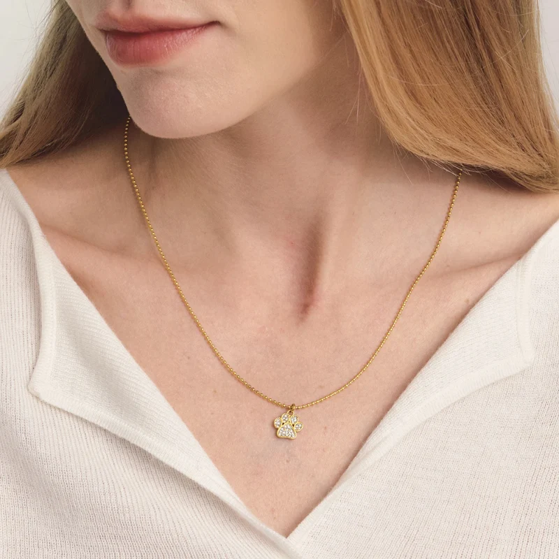 Collier Patte de Chien Brillante