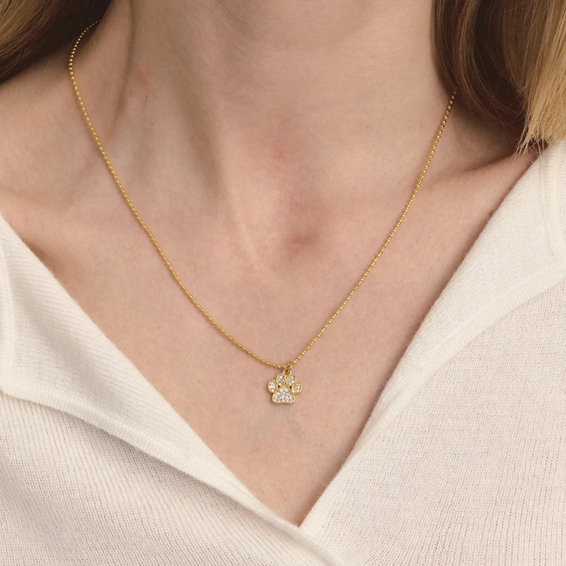 Collier Patte de Chien Brillante