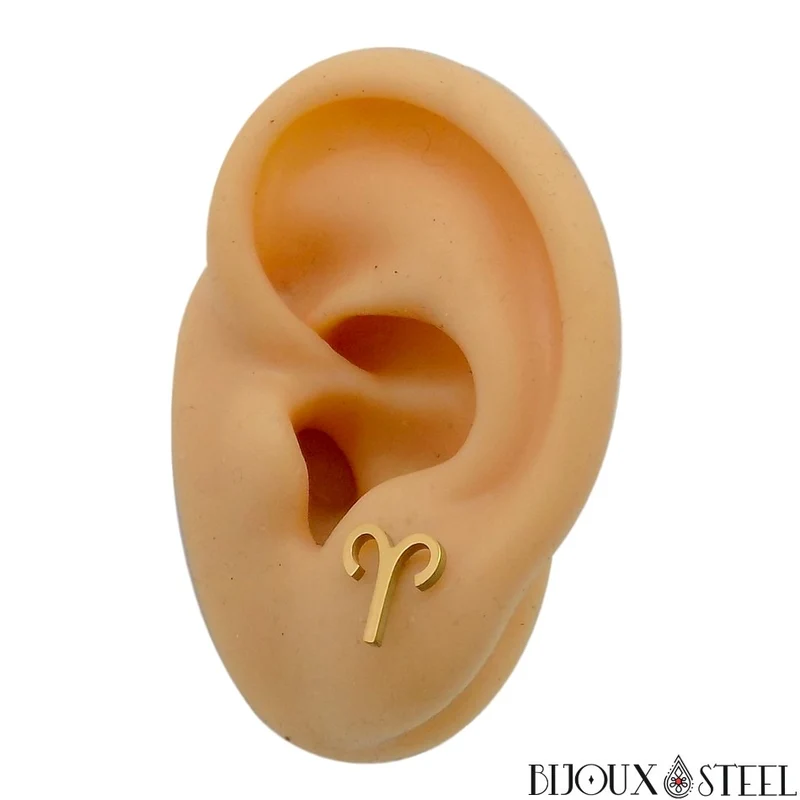 Boucles d'oreilles signes du zodiaque dorés en acier inoxydable