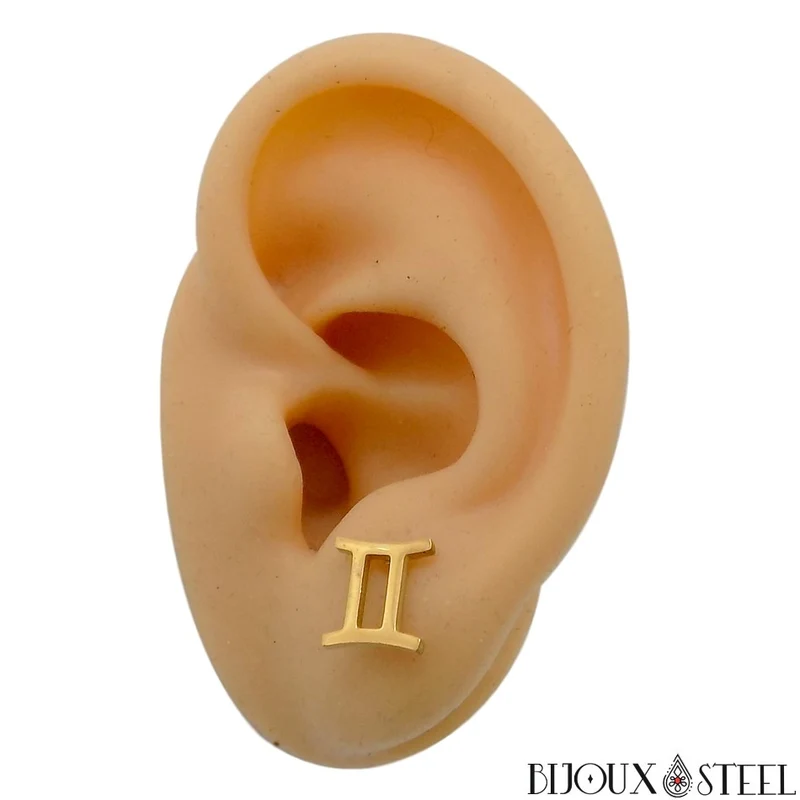 Boucles d'oreilles signes du zodiaque dorés en acier inoxydable