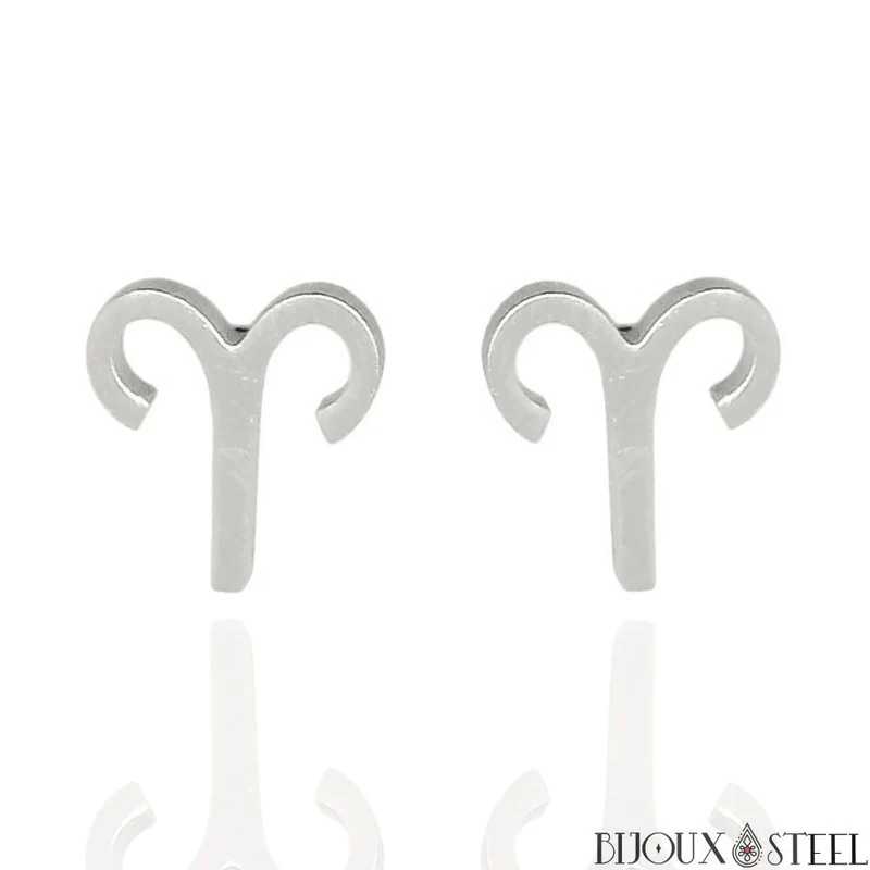 Boucles d'oreilles signes du zodiaque argentés en acier inoxydable