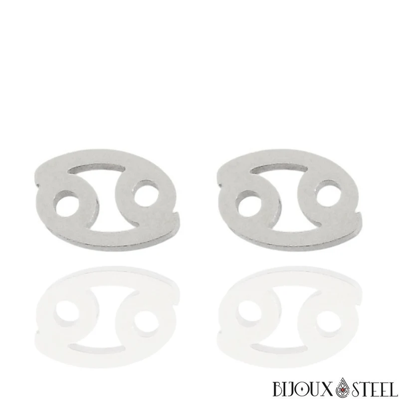 Boucles d'oreilles signes du zodiaque argentés en acier inoxydable