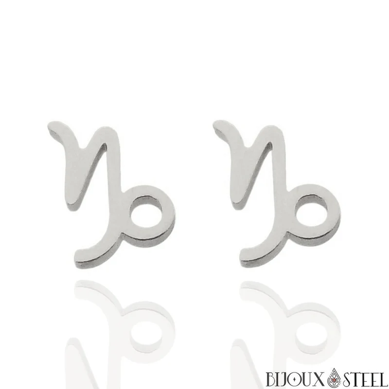 Boucles d'oreilles signes du zodiaque argentés en acier inoxydable