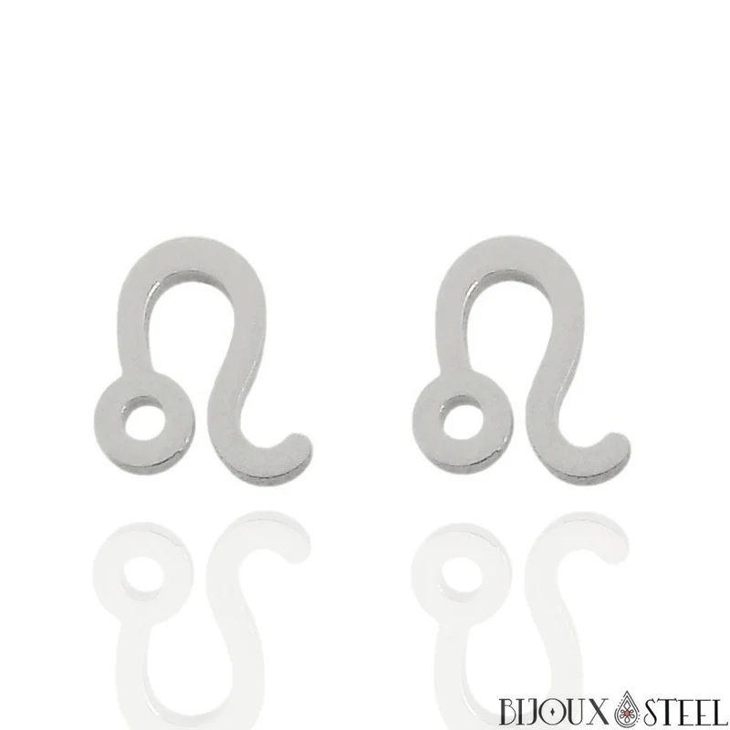 Boucles d'oreilles signes du zodiaque argentés en acier inoxydable
