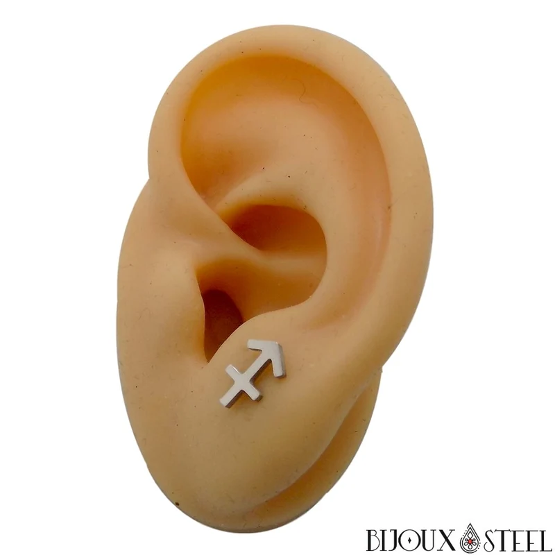 Boucles d'oreilles signes du zodiaque argentés en acier inoxydable