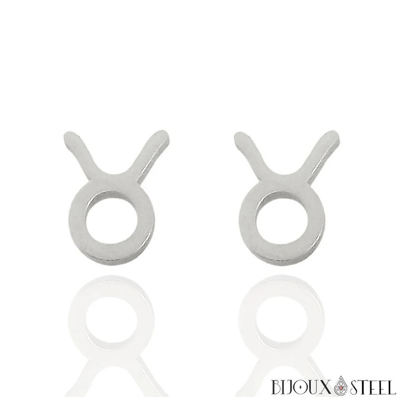 Boucles d'oreilles signes du zodiaque argentés en acier inoxydable
