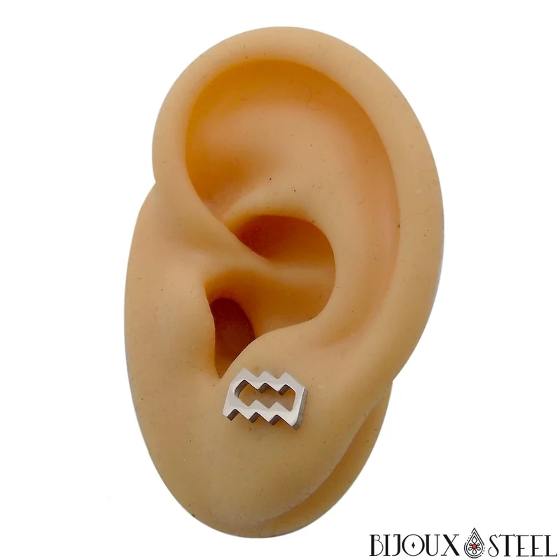 Boucles d'oreilles signe astrologique verseau en acier inoxydable