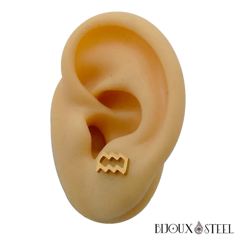 Boucles d'oreilles signe astrologique verseau en acier inoxydable