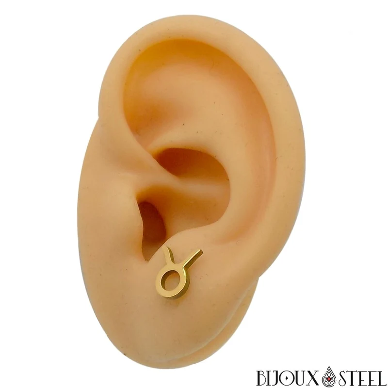 Boucles d'oreilles signe astrologique taureau en acier inoxydable