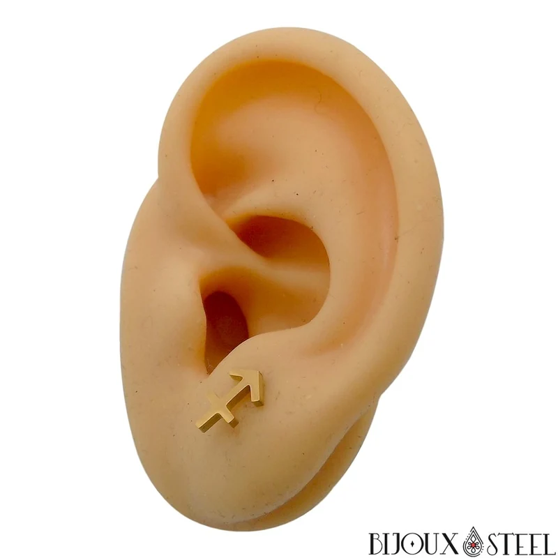 Boucles d'oreilles signe astrologique sagittaire en acier inoxydable