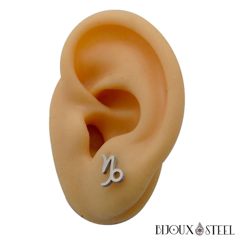 Boucles d'oreilles signe astrologique capricorne en acier inoxydable