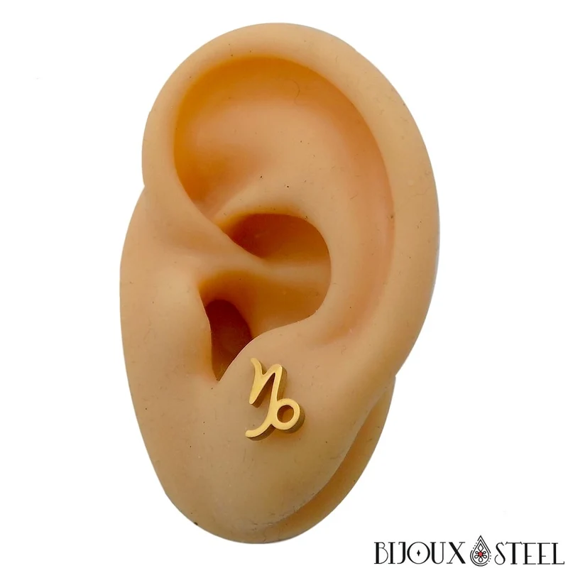 Boucles d'oreilles signe astrologique capricorne en acier inoxydable