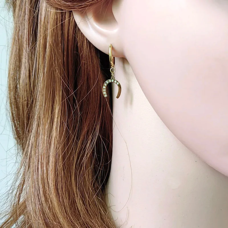 Boucles d'Oreilles Créoles Fer à Cheval