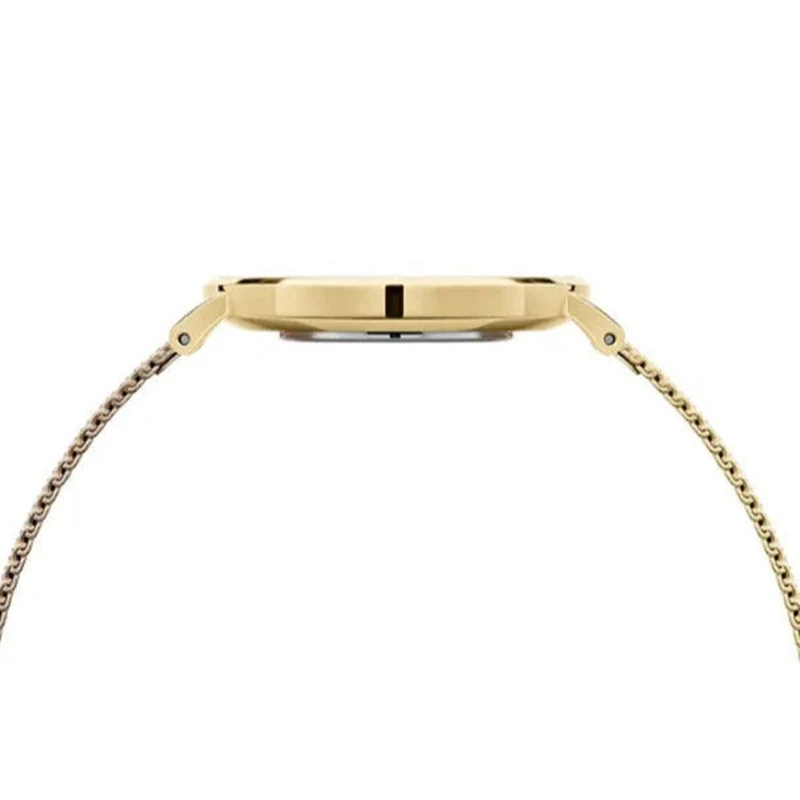 Daniel Wellington Capite montre femme DW00100481