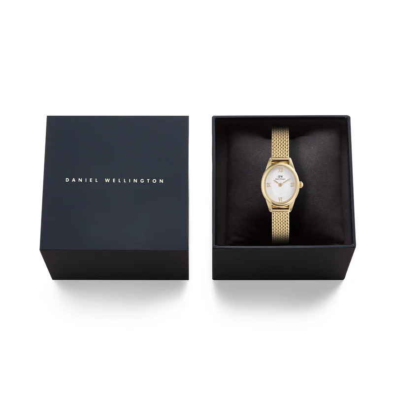 Daniel Wellington Ophelia Mini Mesh White doré montre femme DW00100939