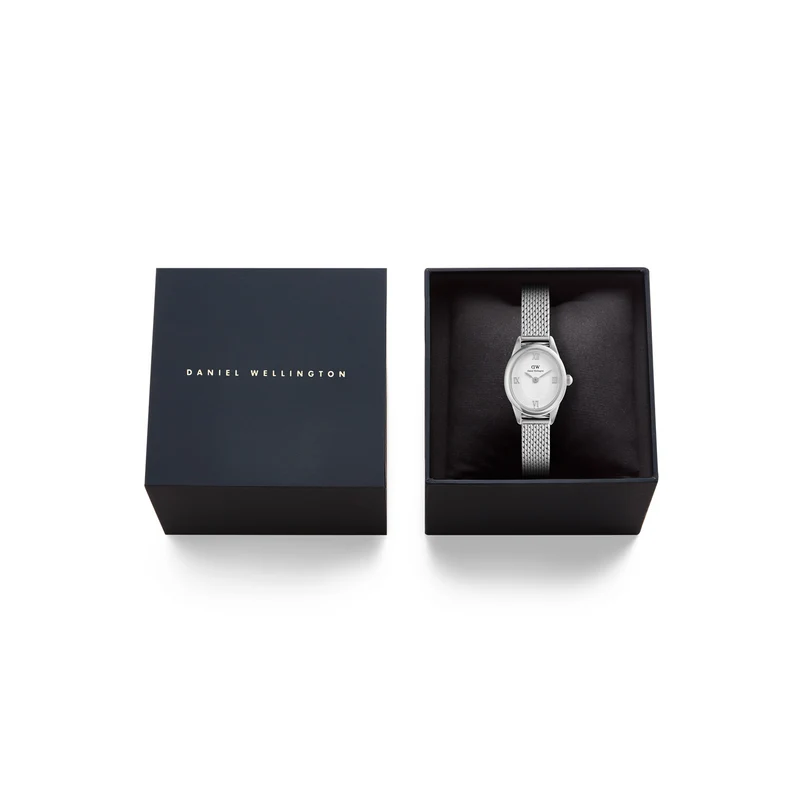 Daniel Wellington Ophelia Mini Mesh White Silver montre femme DW00100938