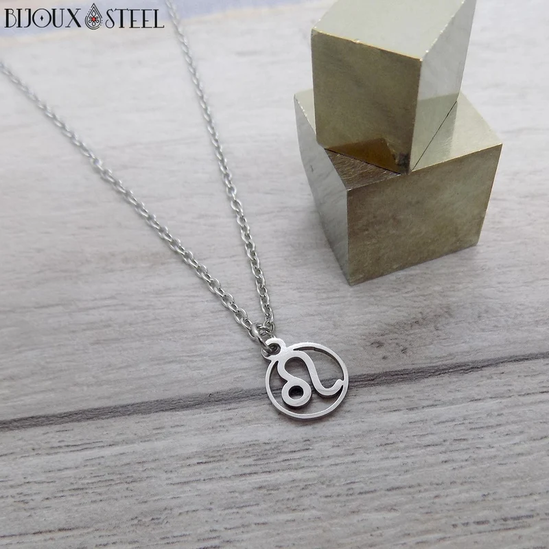 Collier à pendentif signe astrologique argenté en acier inoxydable
